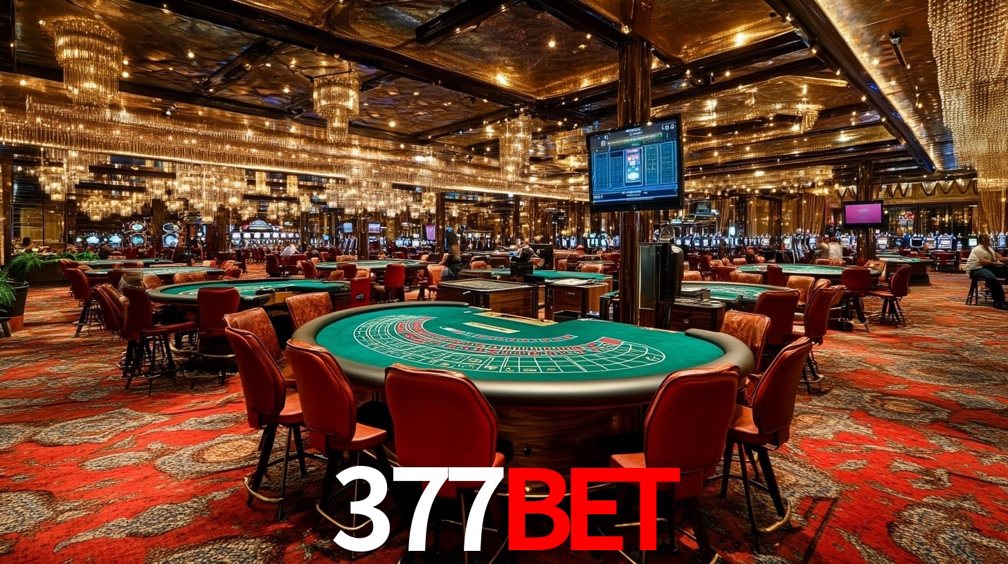 377Bet