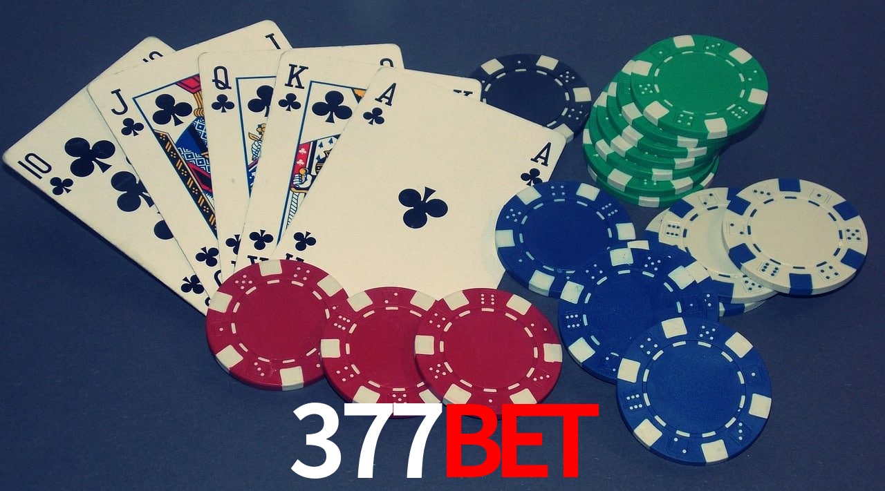 Experiência VIP 377Bet